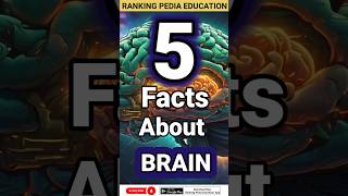 5 Facts about Brain  Functions of Brain brainrankingpediabrainfactsfunctionofhumanbrainbiology [upl. by Rayburn]