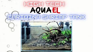 High Tech Caridina Shrimp Tank [upl. by Frear]