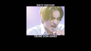 Xiaojun WayV Ashes CelineDion [upl. by Heeley]