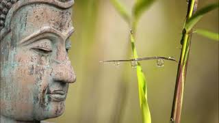 🌷MEDITAZIONE BUDDISMO PSICOLOGIA NEUROSCIENZE Rossana Trabattoni Psicologia Psicoterapia Meditazione [upl. by Benny15]