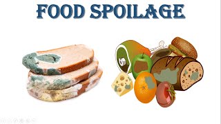 Food Spoilage  Foodborne Microbes  Foodborne Disease [upl. by Nedloh]