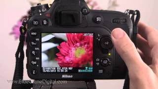 Introduction to the Nikon D7100 Basic Controls [upl. by Supen]