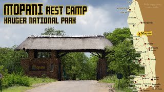 Kruger National Park Mopani Rest Camp [upl. by Aiz]