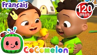 Comptons les pommes 🍎  CoComelon  LHeure de Cody  Chansons pour bébés [upl. by Lynden]