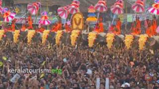 Thrissur Pooram Kerala [upl. by Yelra]