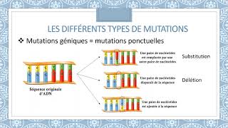 Mutations et systèmes de réparation de lADN [upl. by Lucretia774]