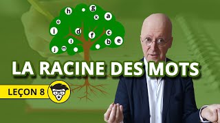 La leçon du professeur Julaud n°8  La racine des mots [upl. by Yurik232]