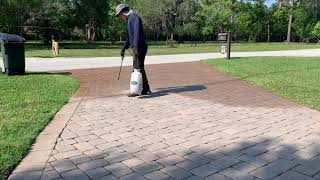 Restoring Faded Pavers  Proprietary Paver Dye Process [upl. by Ttayw166]