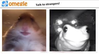 Top 5 Omegle [upl. by Erich500]