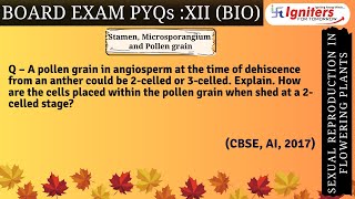 A pollen grain in angiosperm at the time of dehiscence from an anther could be 2celled or 3celled [upl. by Marika339]