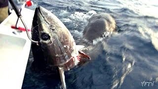 GIANT BLUEFIN TUNA CASTING TROLLING  YouFishTV [upl. by Sidnal]