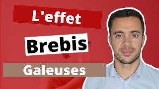 LE BIAIS ENDOGROUPE LEFFET BREBIS GALEUSES 🐑 [upl. by Mohandas]