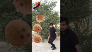 Rounding coconut to Duck Peacock Pigeonamp Parrot  Birds names magic video [upl. by Aynodal]