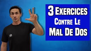 3 Exercices EFFICACES pour soulager le mal de dos [upl. by Phyllys467]