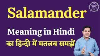 Salamander meaning in Hindi  Salamander ka matlab kya hota hai  English to hindi [upl. by Bedell]