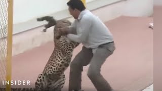 Leopard Attacked A School In India [upl. by Phil]