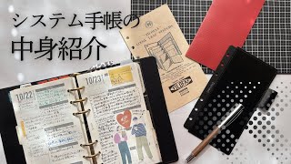 【手帳の中見】FILOFAX📖バイブルサイズの中見を紹介します！システム手帳中身パラパラ [upl. by Anoyi876]