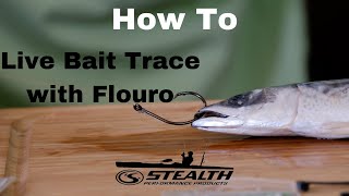 How to tie a Live Bait Trace with Fluorocarbon [upl. by Tiertza259]