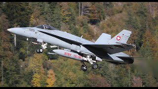 AXALP Hornets in Meiringen Switzerland [upl. by Ursola]