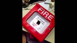 Fire alarm panel linking demonstration New Zealand equipment [upl. by Lalat]