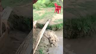 SelfMade Wooden Sluice Gate Diverting Water Flow Easily [upl. by Attirb]