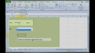 Excel 2010  Formulaire avec boutons à option zone de liste et fonction SI [upl. by Zurek]