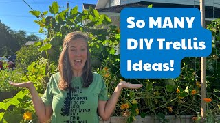 8 Easy DIY Trellis Ideas From Other Gardeners [upl. by Anitel]