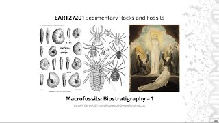 Biostratigraphy  EART27201  Sedimentary Rocks and Fossils [upl. by Otrebire169]