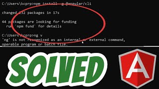 ng is not recognized as an internal or external command operable program SOLVED in Angular [upl. by Eatnwahs495]