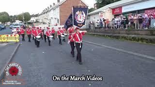 Inch Flute  Braniel Loyal Parade 2023 [upl. by Alegre71]