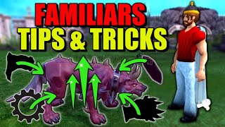 STOP Using Your Familiar Wrong In Runescape 3 TRY THIS [upl. by Batchelor]