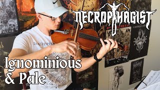 Necrophagist  Ignominious amp Pale solo  violin cover [upl. by Atenek]