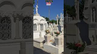 Restricciones para el Día de Muertos en mazatlan [upl. by Ivets753]