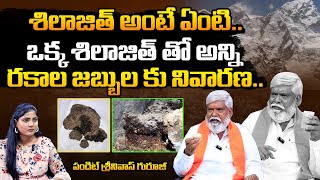 Pandit Srinivas Guruji Exclusive Interview On Shilajit Ayurvedic Medicine  Benefits Of Shilajit [upl. by Ailahtan305]