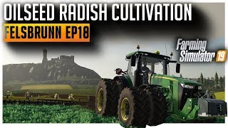 Oilseed Radish Harvest amp Cultivation  Lets Play Farming Simulator 2019 Ep18 [upl. by Neelyad]