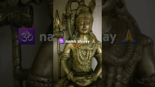 Shiv bhakt lordshiva youtubeshorts omnamahshivaya smartcityaligarh 14mayneetusingh [upl. by Fisoi]