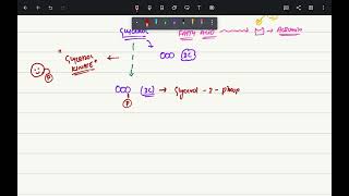 Overview of Acylglycerol biosynthesis  Metabolism of Acylglycerols and sphingolipids  Part 1 [upl. by Nichole675]