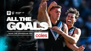 Coles Goals R17 Goals rain at Adelaide Oval [upl. by Hildegarde]