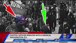 Capitol officer sprayed with chemical [upl. by Nolava413]