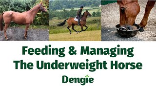 Webinar Feeding amp Managing The Underweight Horse [upl. by Gleeson61]