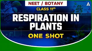 RESPIRATION IN PLANTS CLASS 11 ONE SHOT  NEET 2024  NCERT LEVEL UP  BOTANY BY SANKALP BHARAT [upl. by Sparks]