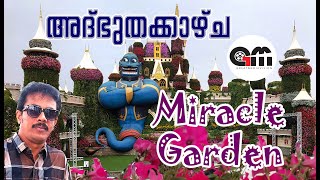 അദ്​ഭുതക്കാഴ്ചമിറാക്കിൾ ഗാർഡൻ The Miracle Garden [upl. by Lipp160]