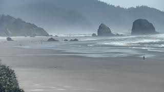 Live A view looking south from our Cannon Beach Oregon cam [upl. by Edrock181]