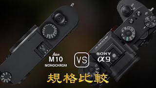 Leica M10 Monochrom 與 Sony A9 的規格比較 [upl. by Hilbert]