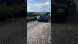 Hellcat Redeye whine v8 burnout dodge hemi charger hellcat supercharged [upl. by Urbana133]