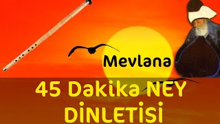 45 Dakika  Sadece Ney Dinletisi  Relax Music  Ney Dinle [upl. by Hayn689]