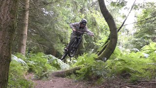 Haldon Forest Mtb  Devon Trail Centre [upl. by Cynar]