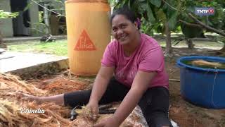 Le travail de la fibre de coco à Pukarua avec Christelle [upl. by Gwennie]