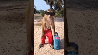 Manky comedy video viral [upl. by Kartis30]