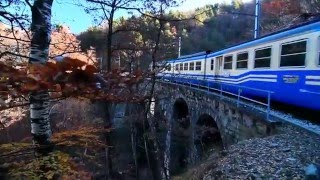 Ferrovia VigezzinaCentovalli Un viaggio lungo una fiaba [upl. by Ybroc]